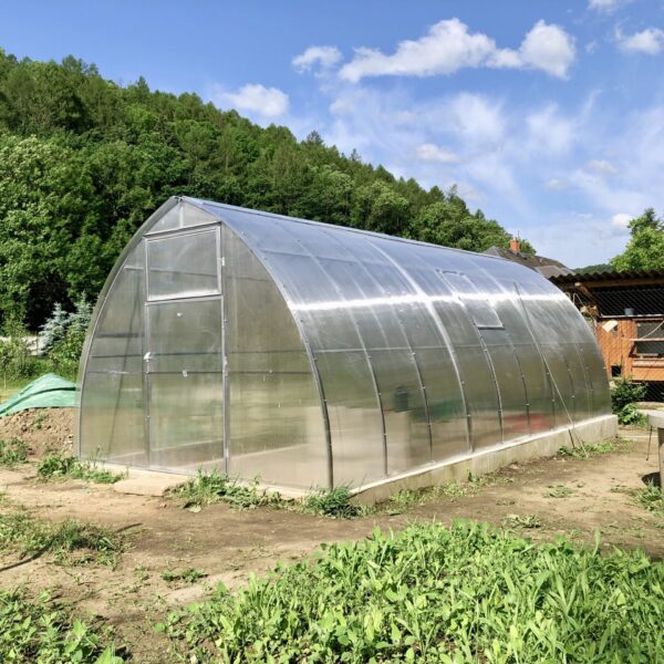 Inteligentna szklarnia Sensorie obsługuje się sama: zapewnia roślinom niemal idealny klimat