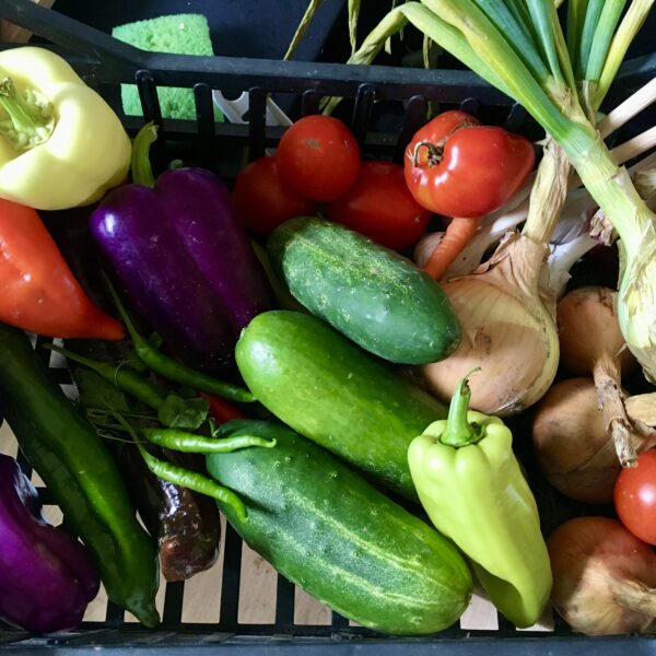 Udało nam się wyhodować naprawdę wspaniałe okazy warzyw – sałatowe ogórki oferowaliśmy wszystkim znajomym jeszcze w październiku