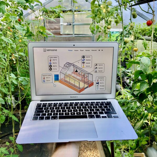 Przewodnik po wyborze Inteligentnej Szklarni – od fundamentu po wyposażenie