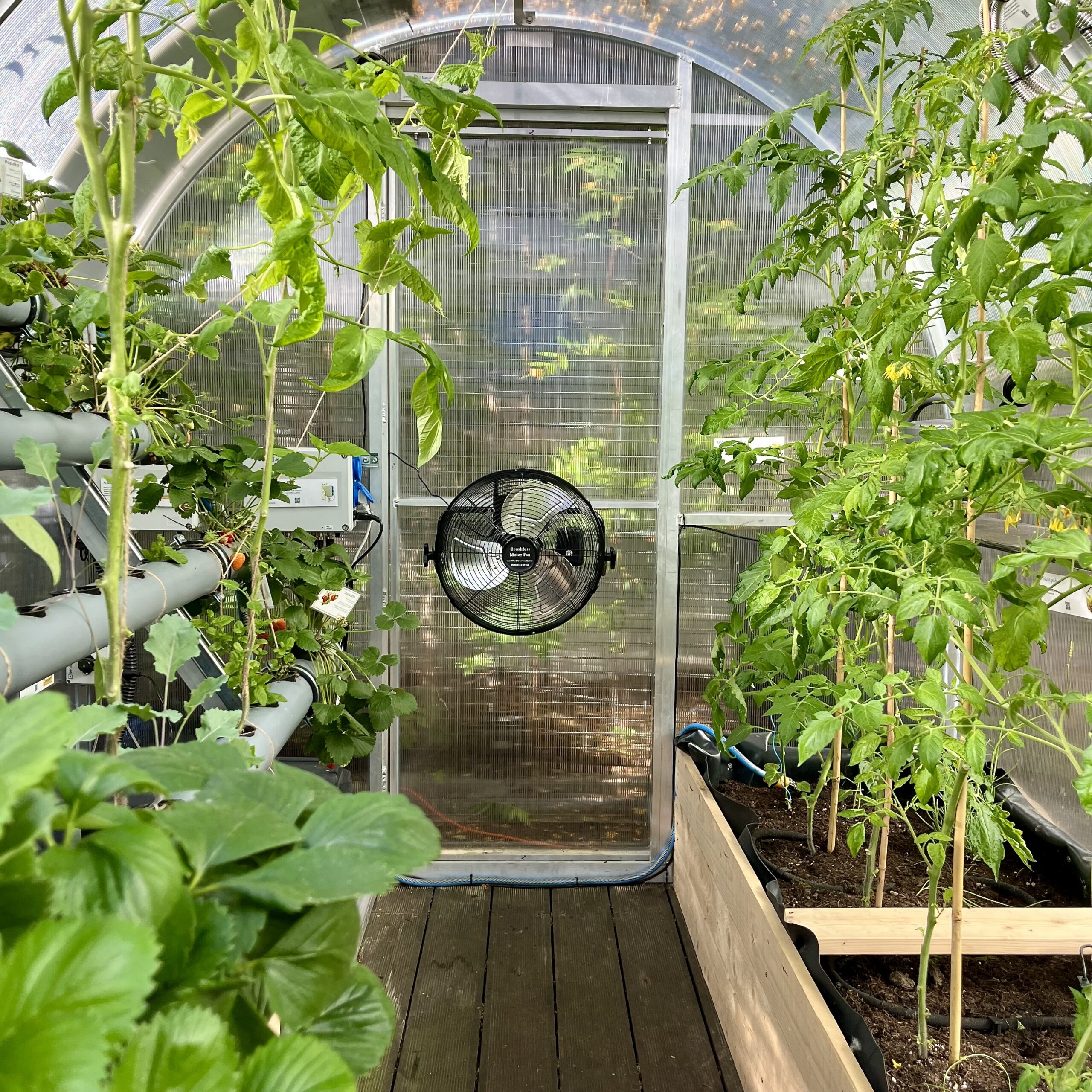 solar_2